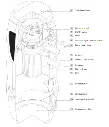 vacume cleanning 3.webp