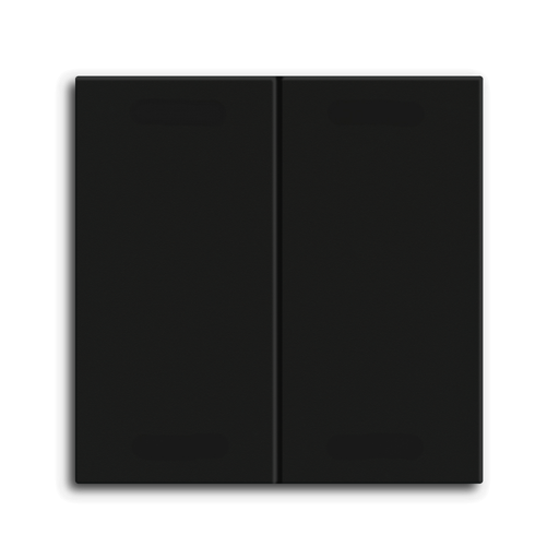 Rocker for the KNX Push Button Light 55 Basic 2 gang, Black matt finish, neutral