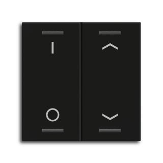 Rocker for the KNX Push Button Light 55 2 gang, Black matt, switch and blinds