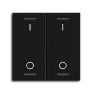Rocker for the KNX Push Button Light 55 2 gang, Black matt, switch