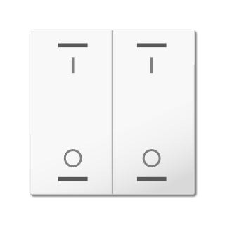 Rocker for the KNX Push Button Light 55 2 gang, white glossy finish, switch
