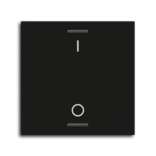 Rocker for the KNX Push Button Light 55 1 gang, Black matt, switch