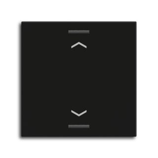 Rocker for the KNX Push Button Light 55 1 gang, Black matt, blinds